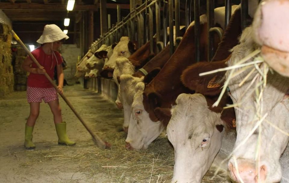 Animation enfants à la ferme de Tamié en Savoie