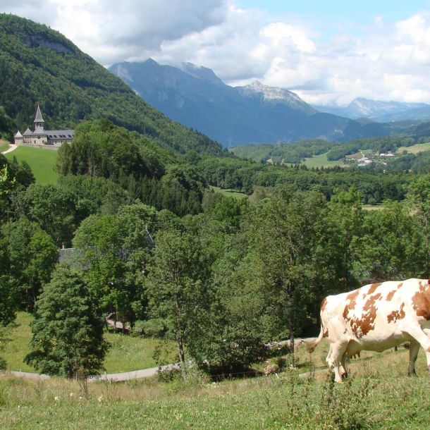 Tamié