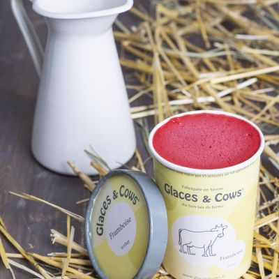 Glaces pour les professionnels commerçants